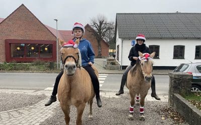 Dejlige december